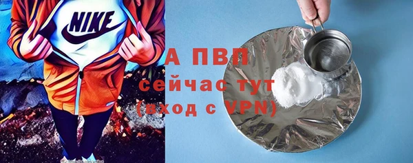 соль ск Белокуриха