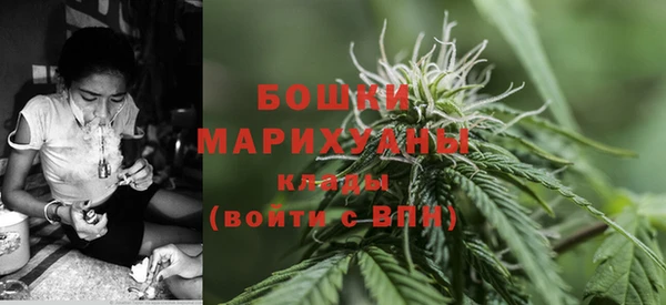 соль ск Белокуриха