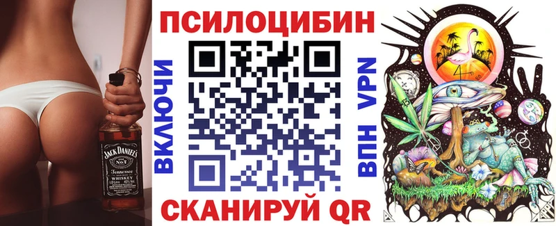 Галлюциногенные грибы Psilocybe  МЕГА ТОР  Чита 